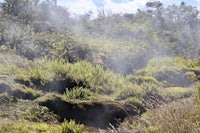 a stream of steam is coming out of the ground