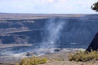 a tree in the middle of a crater