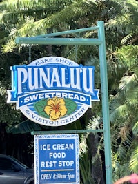 a sign for a ice cream shop with palm trees in the background