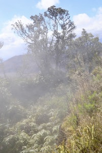 a man is riding a horse through a forest