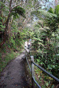 a person is walking down a path in the woods