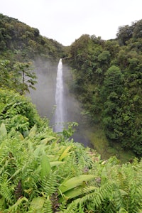 a waterfall in the middle of a lush green forest